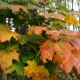 1310F 053 Oberstdorf-Kulmbach